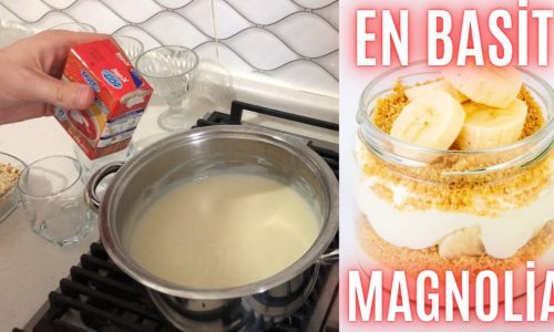 EVDE EN BASİT MAGNOLİA TARİFİ / TATLI TARİFLERİ / YEMEK TARİFLERİ