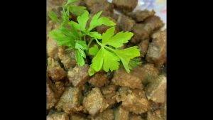 GERÇEK ARNAVUT CİĞERİ NASIL YAPILIR ?#ciğer  #ciğerkavurma #food #yemektarifleri  #turkishfood