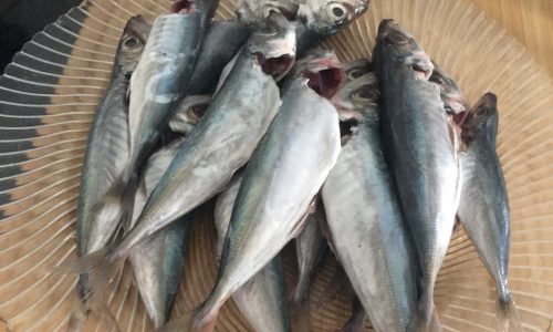 İSTAVRİT NASIL PİŞİRİLİR TAVADA NEFİS YEMEK TARİFLERİ/BALIK TARİFLERİ/YEMEK ADASI