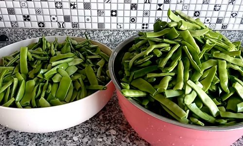 TAZE YEŞİL FASULYE BUZLUKTA NASIL SAKLANIR | DONDURUCUDA FASULYE TARİFİ | NEFİS YEMEK TARİFLERİ