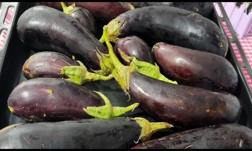 PATLICAN NASIL KÖZLENİR VE NASIL KIŞA ALINIR YEMEK TARİFLERİ Aleyna İle Herşey