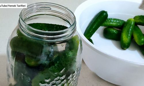 ASLA ERİMEYEN Kütür kütür Kornişon turşusu tarifi | Yemek Tarifleri