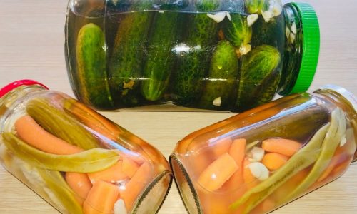 KITIR KITIR KORNİŞON SALATALIK TURŞUSU NASIL YAPILIR? Nefis Yemek Tarifleri – Yıldızlı Hayat