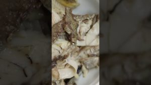 #shorts Palamut balığı çorbası tarifi/Balık çorbası nasıl yapılır?