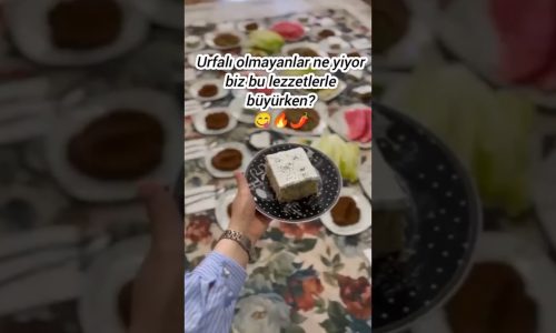 #memleketmeselesi  #lezzetdurakları #yemektarifleri#türkmutfağı #yöreselyemekler#keşfetaçıl#urfalike