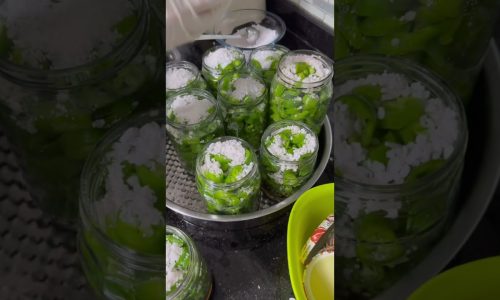￼Jalapeno biber turşusu tam ölçü #tursunov #jalapeño #pratikmutfak #tarif #yemektarifleri #food