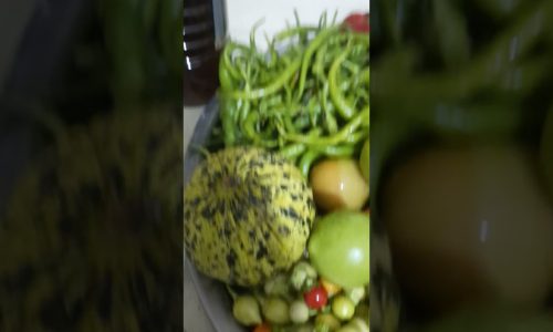 Turşu tarifleri pratik tarifler yemek tarifleri recipe food Youtube short asmr