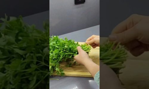 DEREOTU VE MAYDANOZUN EN LEZZETLİ HALİ, İDDİA EDERİM Kİ DENEYENİN SÜREKLİ HAZIRLAYACAĞI O TARİF🤤