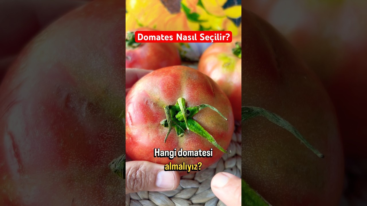 Domates Seçerken Neye Dikkat Etmeliyiz? #yemektarifi #yemektarifleri #pratikbilgiler  #püfnoktaları